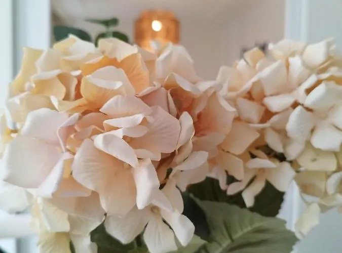 アパート Sanfran 38 By Staynnapartments *