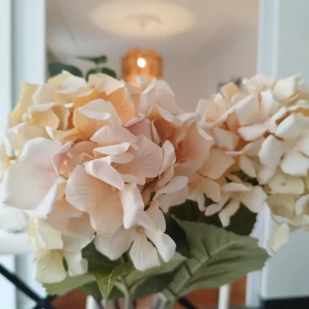 Apartment Sanfran 38 By Staynnapartments *